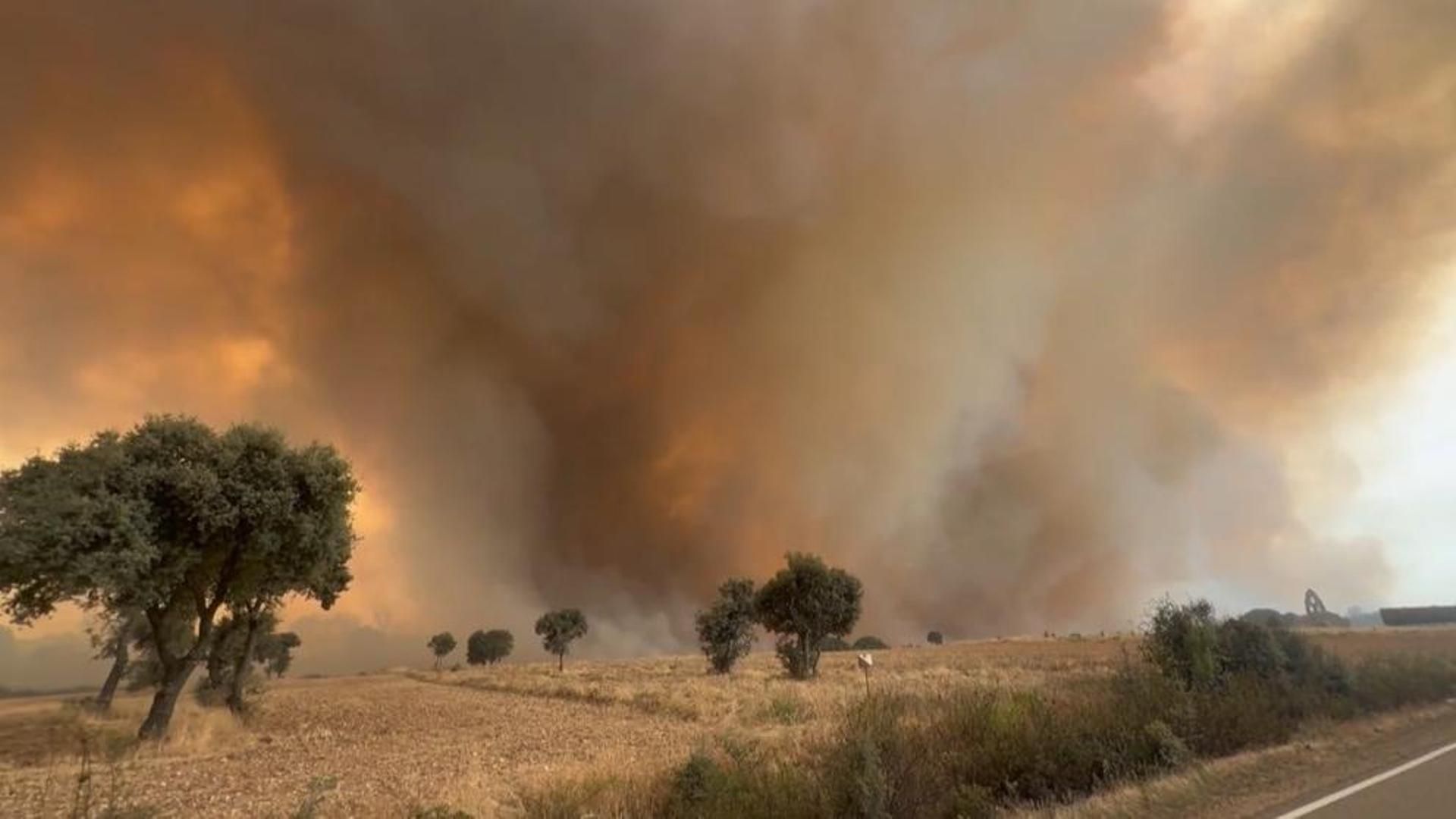 Los incendios de Puercas y de Molezuelas, en Zamora, están "prácticamente controlados" Los incendios de Puercas y de Molezuelas, en Zamora, están "prácticamente controlados"
