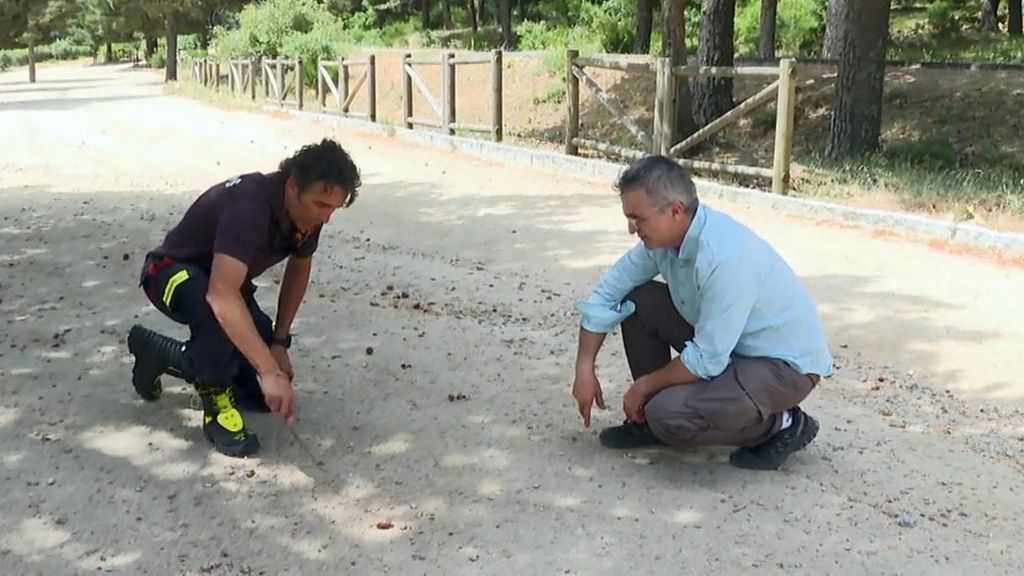 ¿Cómo podemos escapar en caso de que nos sorprenda un incendio en el monte?