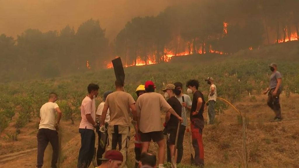 Galicia registra 14 fuegos activos, con más de 46.000 hectáreas quemadas en Ourense
