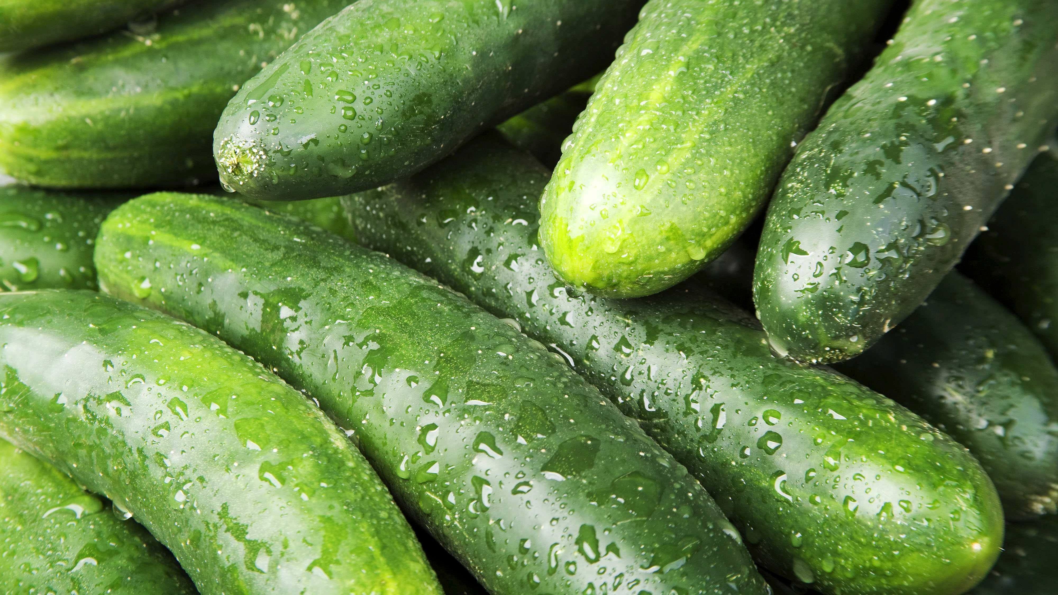 Los pepinos son muy saludables. FUENTE: Cordonpress
