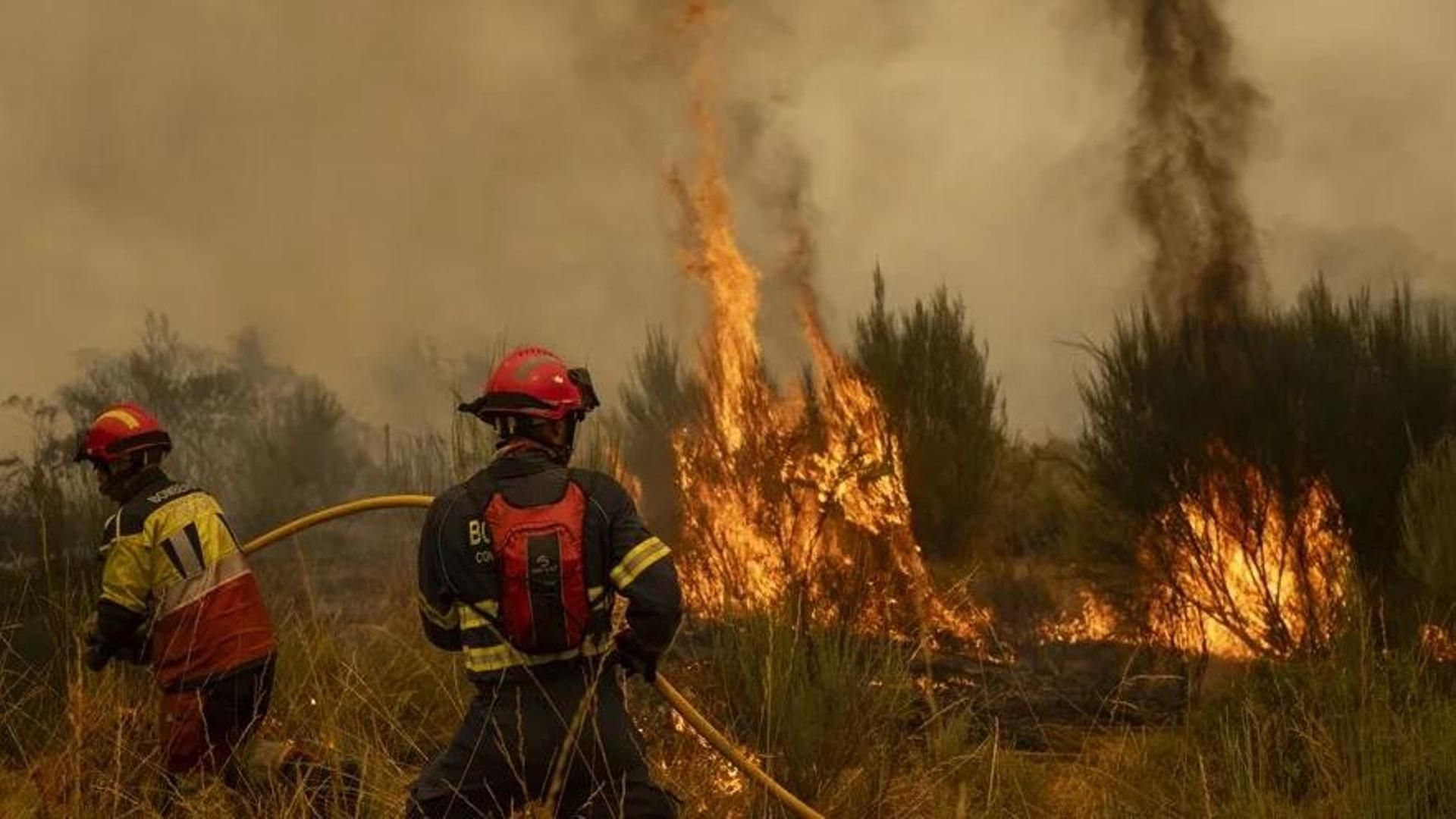 Se hace viral la pregunta de un enfermero ante los incendios forestales en España