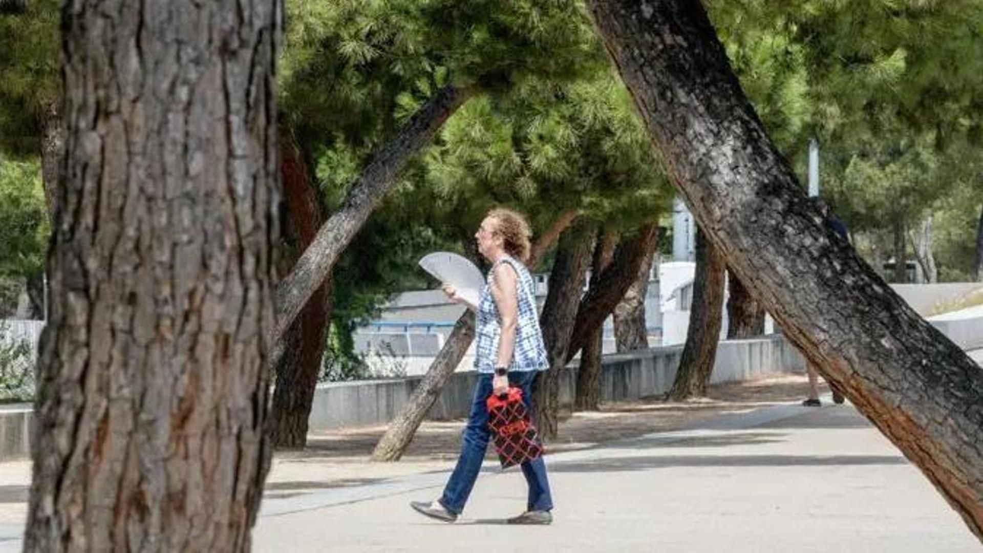 64 estaciones de la Aemet superaron este sábado los 42 grados: récord en Montoro, Córdoba