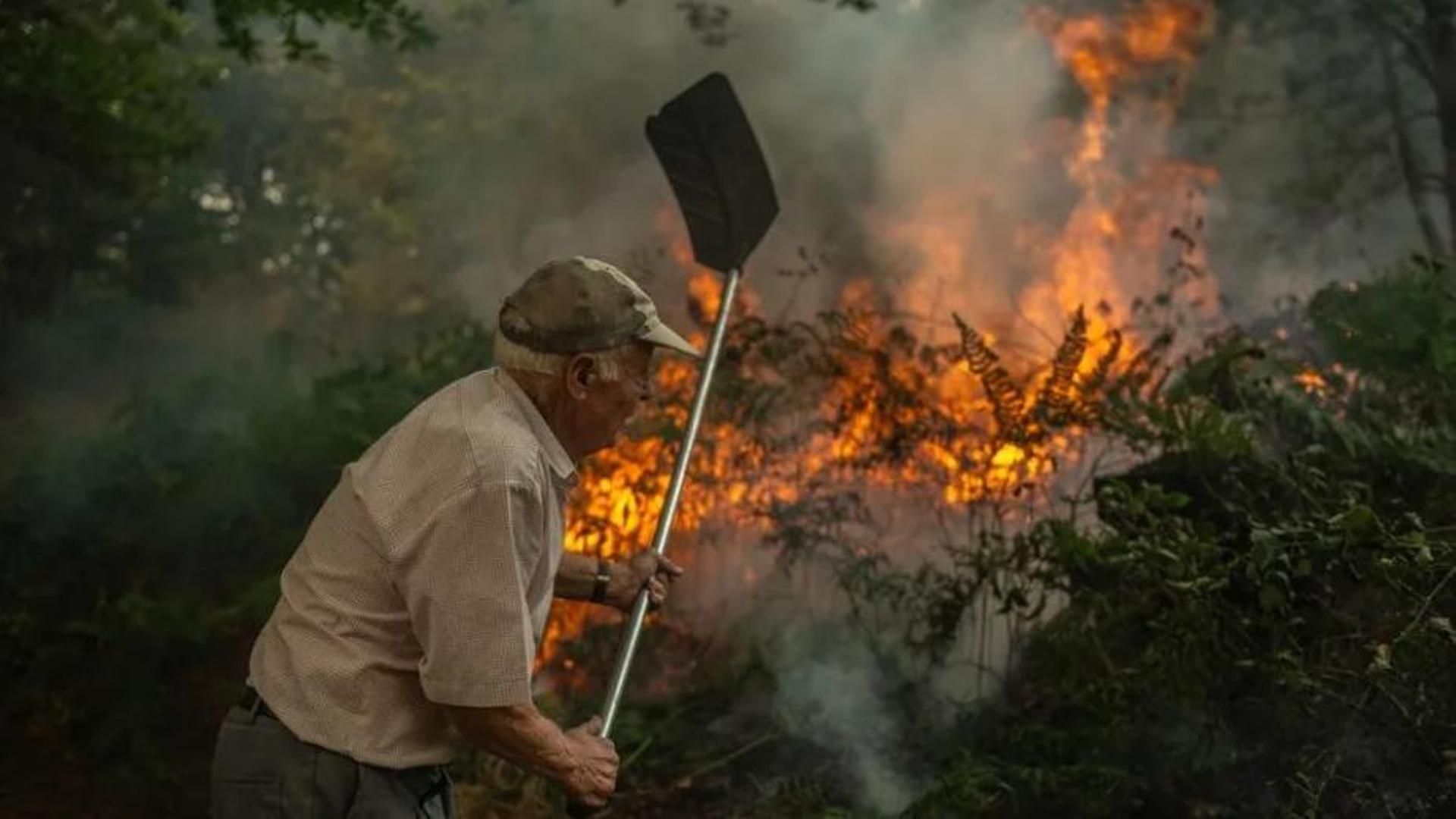 Así incide el cambio climático en la propagación de incendios