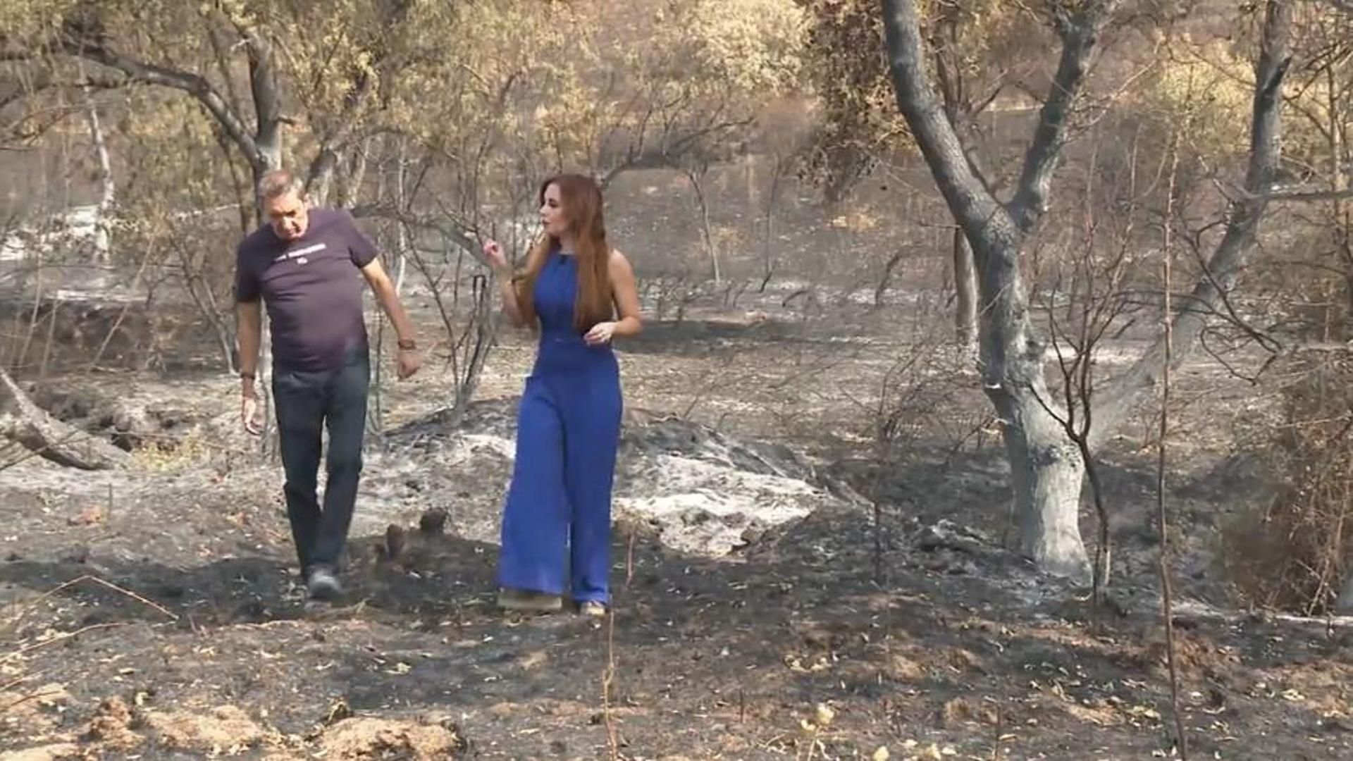 ¿Cómo actúan las personas ante un incendio y cómo superar el ecoduelo posterior?