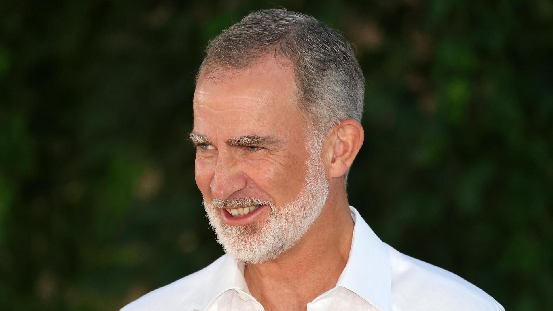 El rey Felipe VI durante la recepción en Marivent