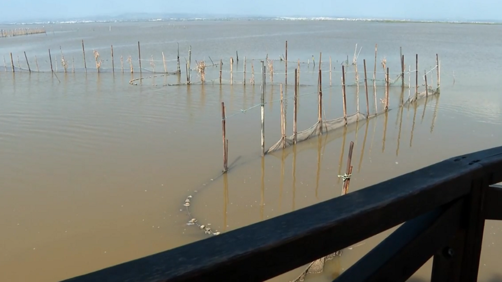 Captura de pantalla 2025 08 18 100526