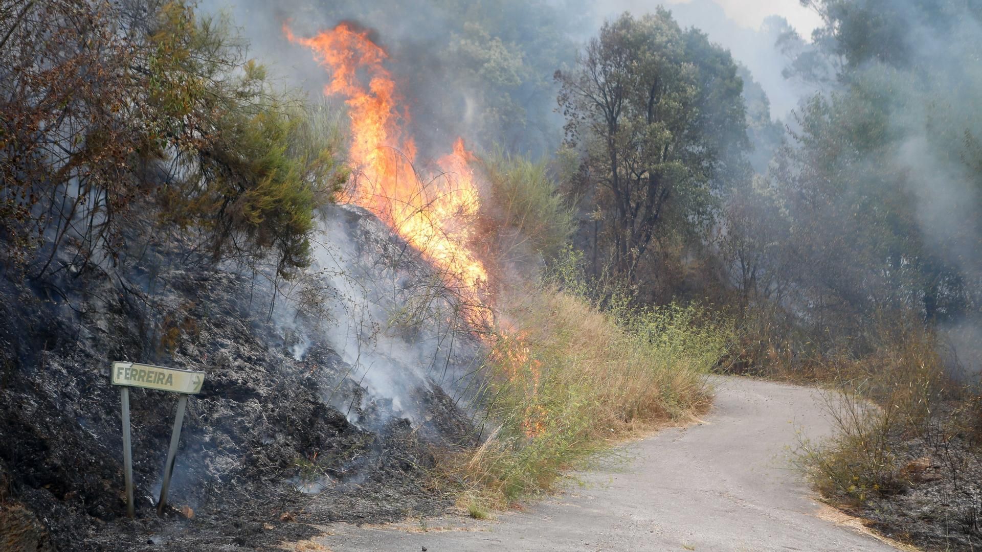 Los incendios forestales en España mantienen 15 carreteras cortadas, todas ellas secundarias