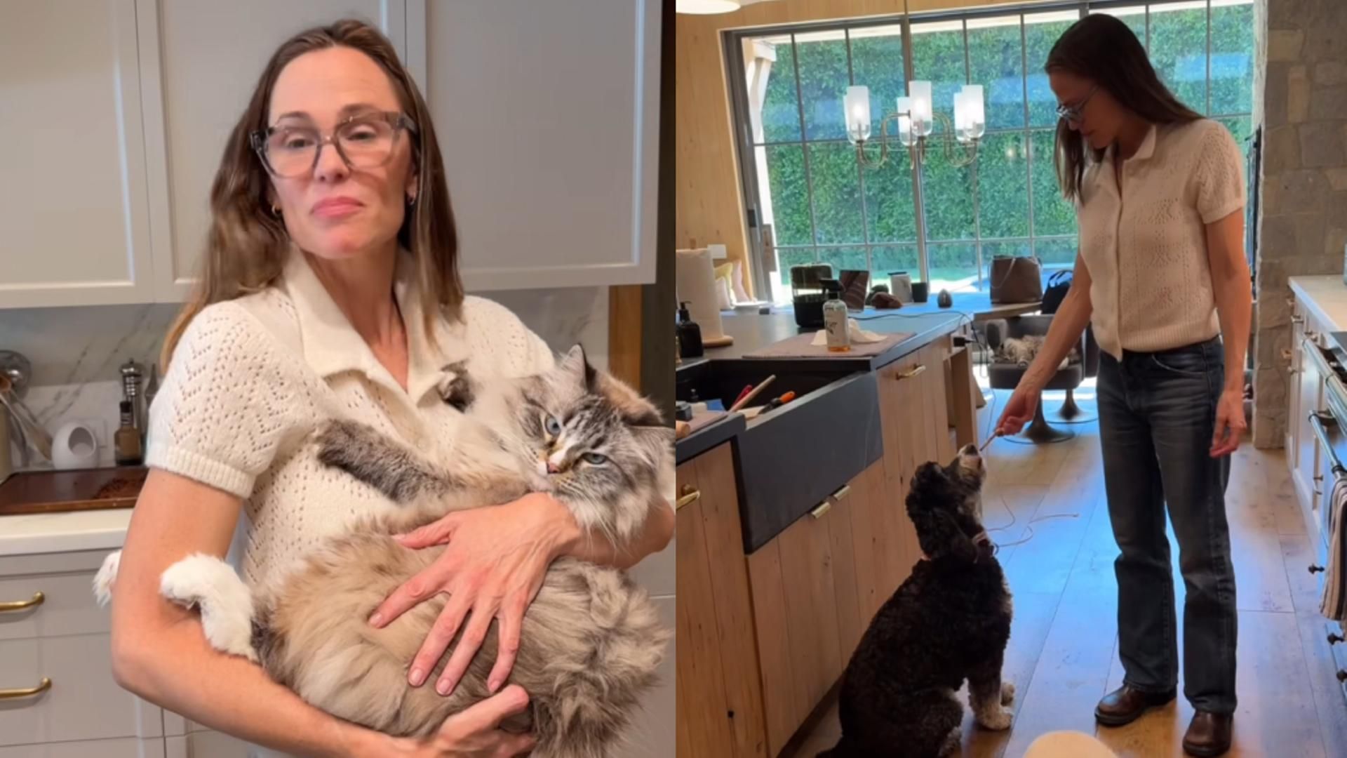 Recetas para mascotas: así cocina Jennifer Garner comida para perros y gatos