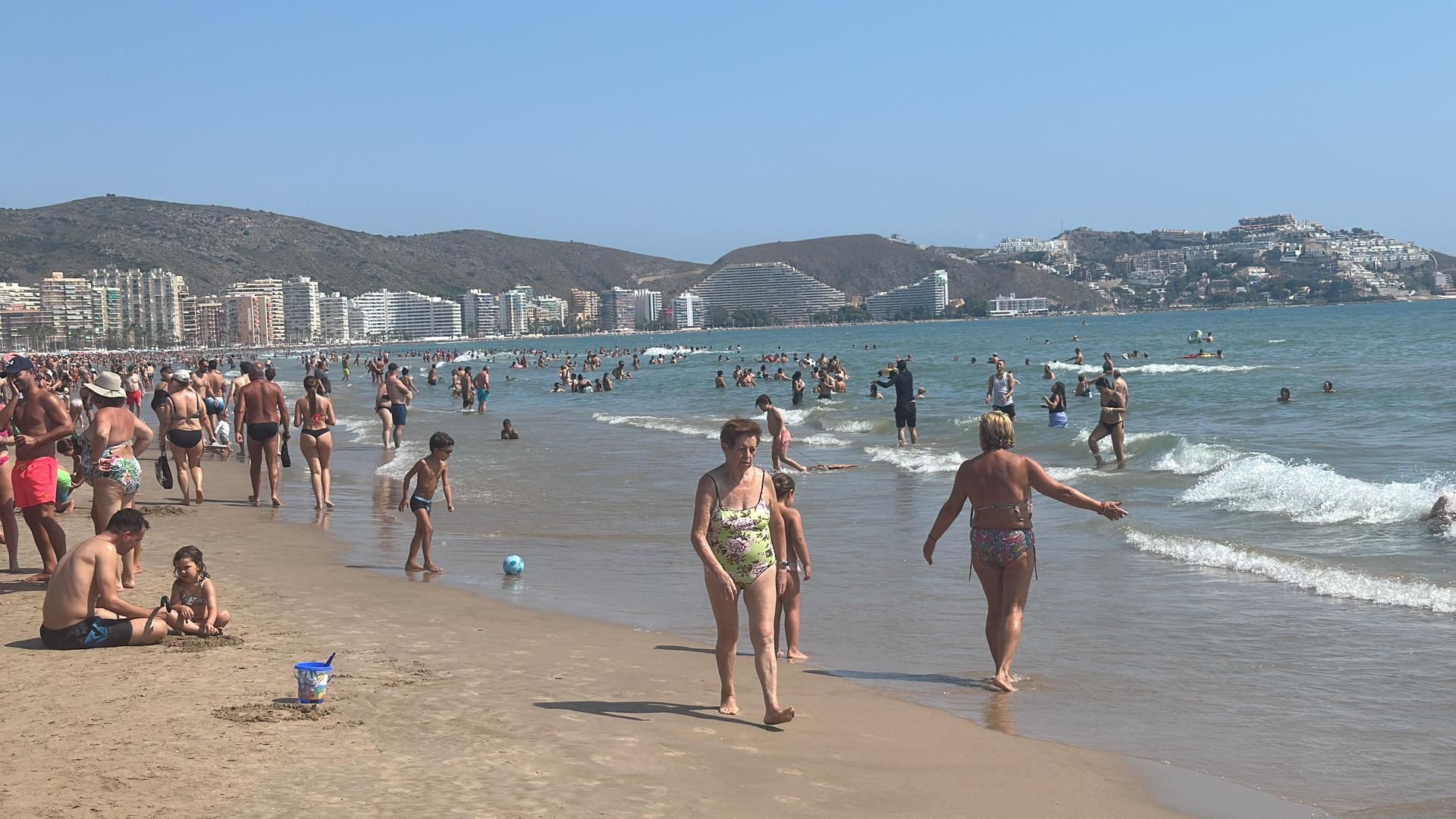 WhatsApp Image 2025 08 18 at 12.08.47