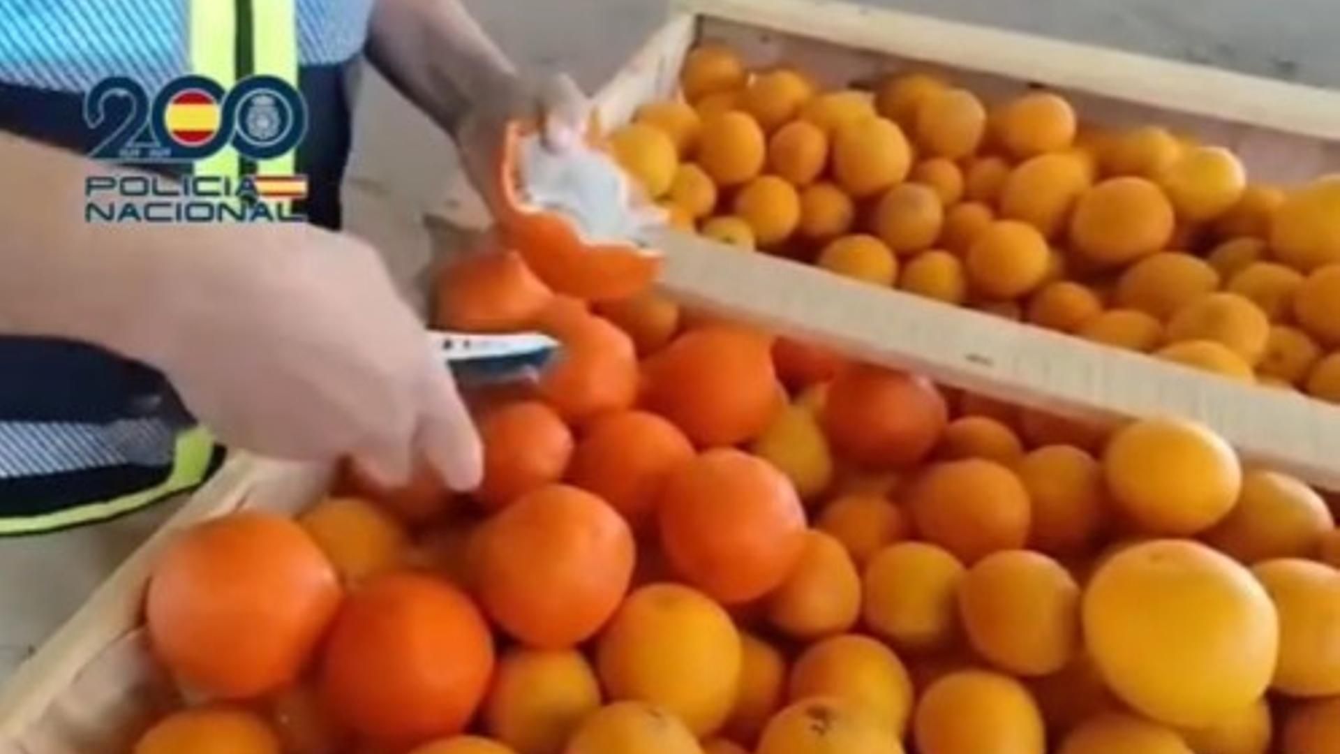 Así ocultaban los narcotraficantes el hachís dentro de las supuestas naranjas