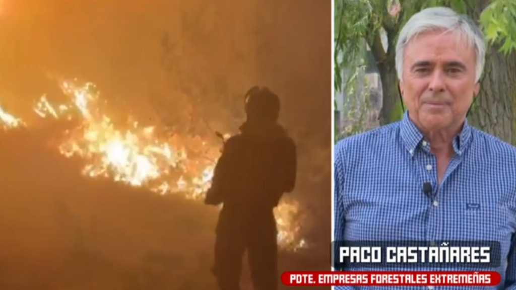 Paco Castañares, experto forestal, explica qué significa 'incendio de sexta generación': "El agua se evapora sin tocar las llamas"