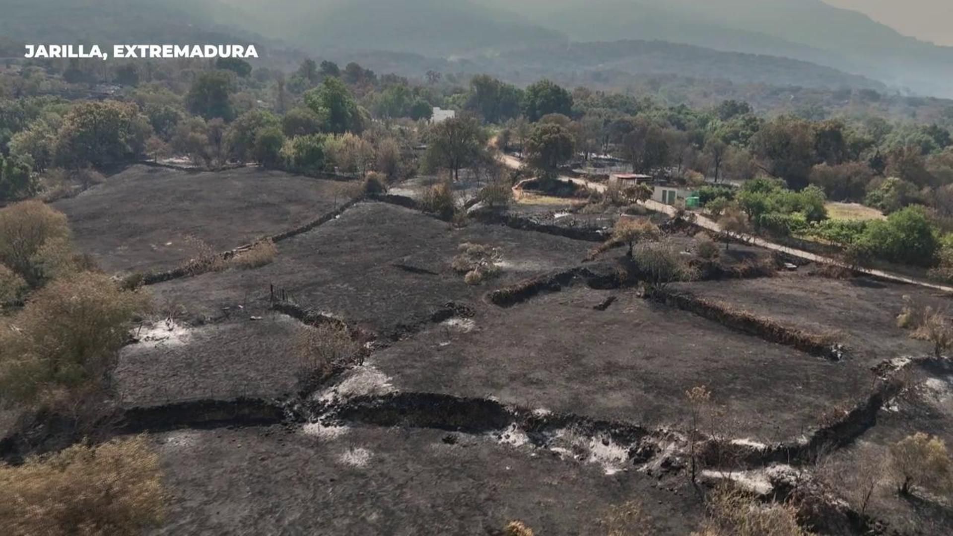 La devastación en Jarilla, Cáceres, a vista de dron: el fuego ha calcinado ya 15.000 hectáreas y ha cruzado a Castilla y León