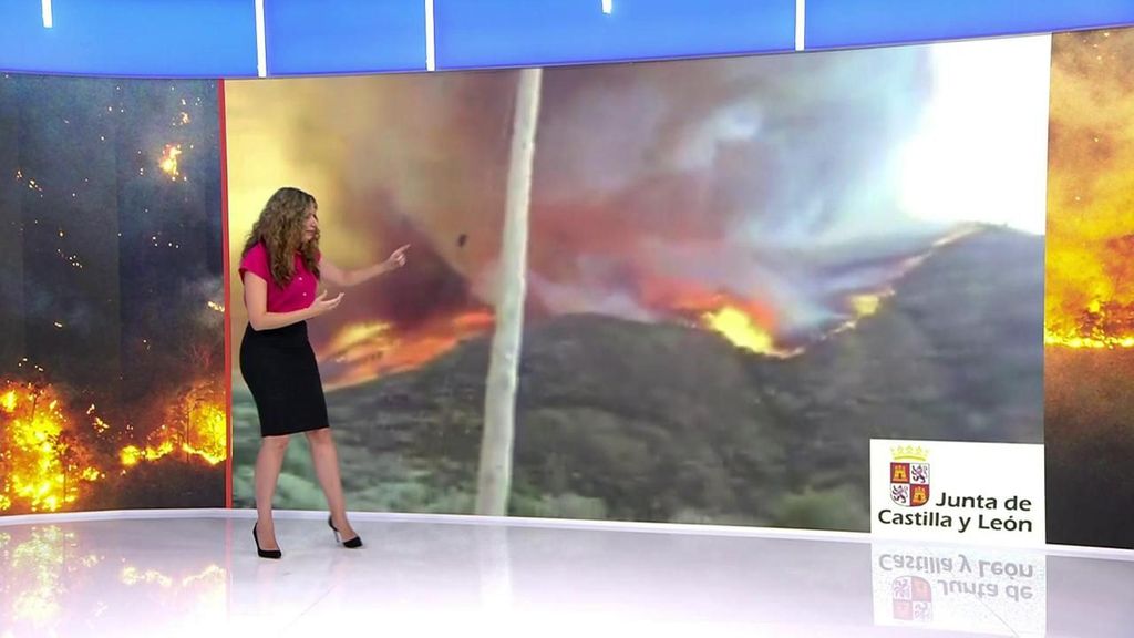 Los incendios, cada más extremos y peligrosos: generan sus propias condiciones meteorológicas