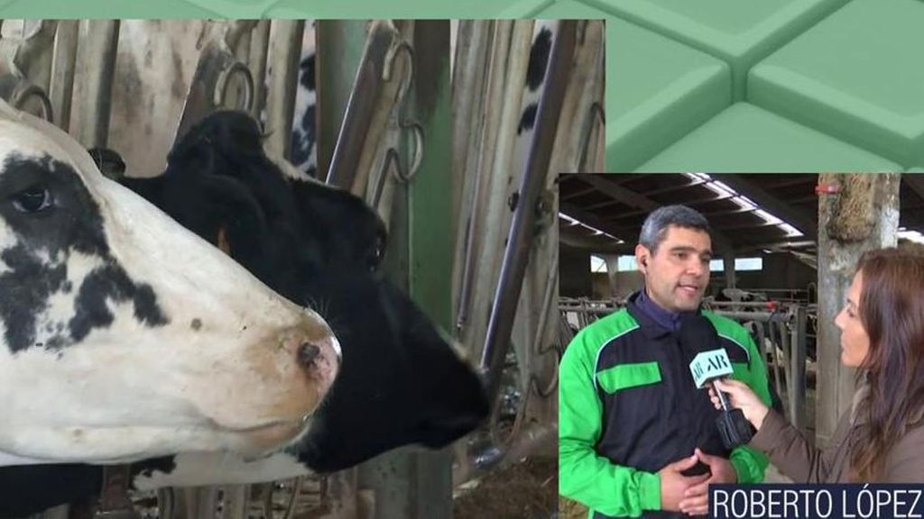 Roberto López, ganadero afectado por las medidas del sector: "No sé quién se va a permitir comer, no quedará otra que cerrar"