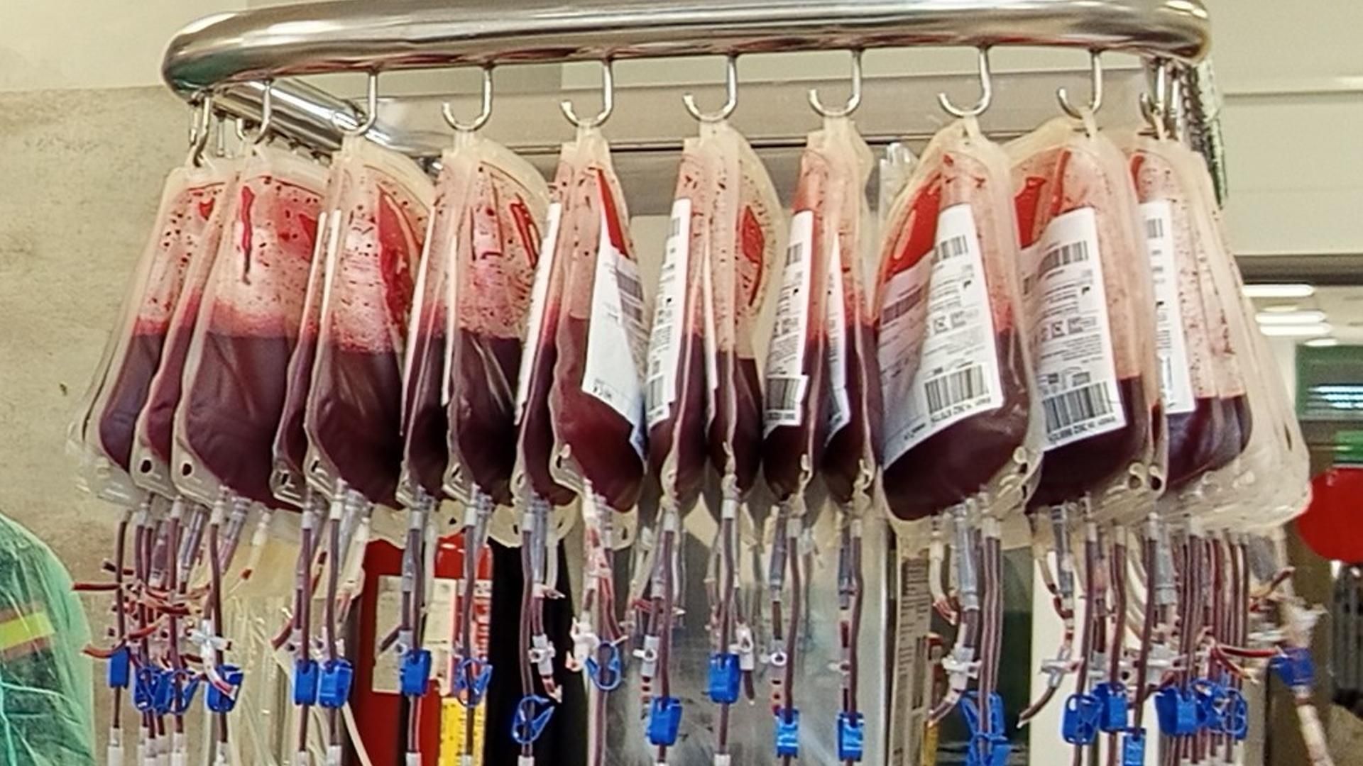 Bolsas con sangre donada