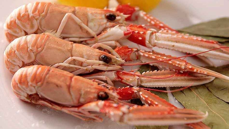 Cigala tronco de Marín. FUENTE: Galicia Marisco