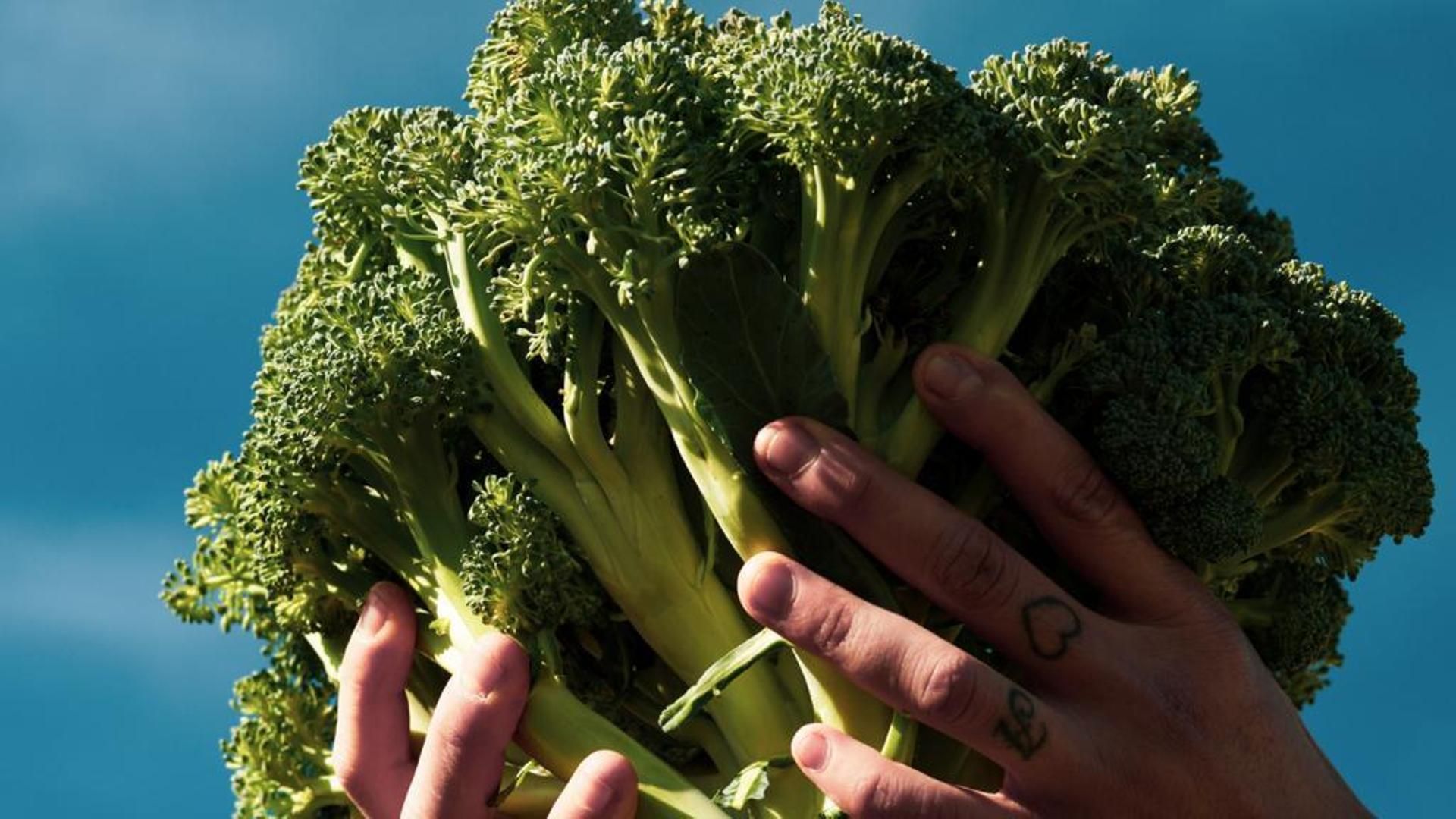 Aquí la materia prima es la protagonista de verdad