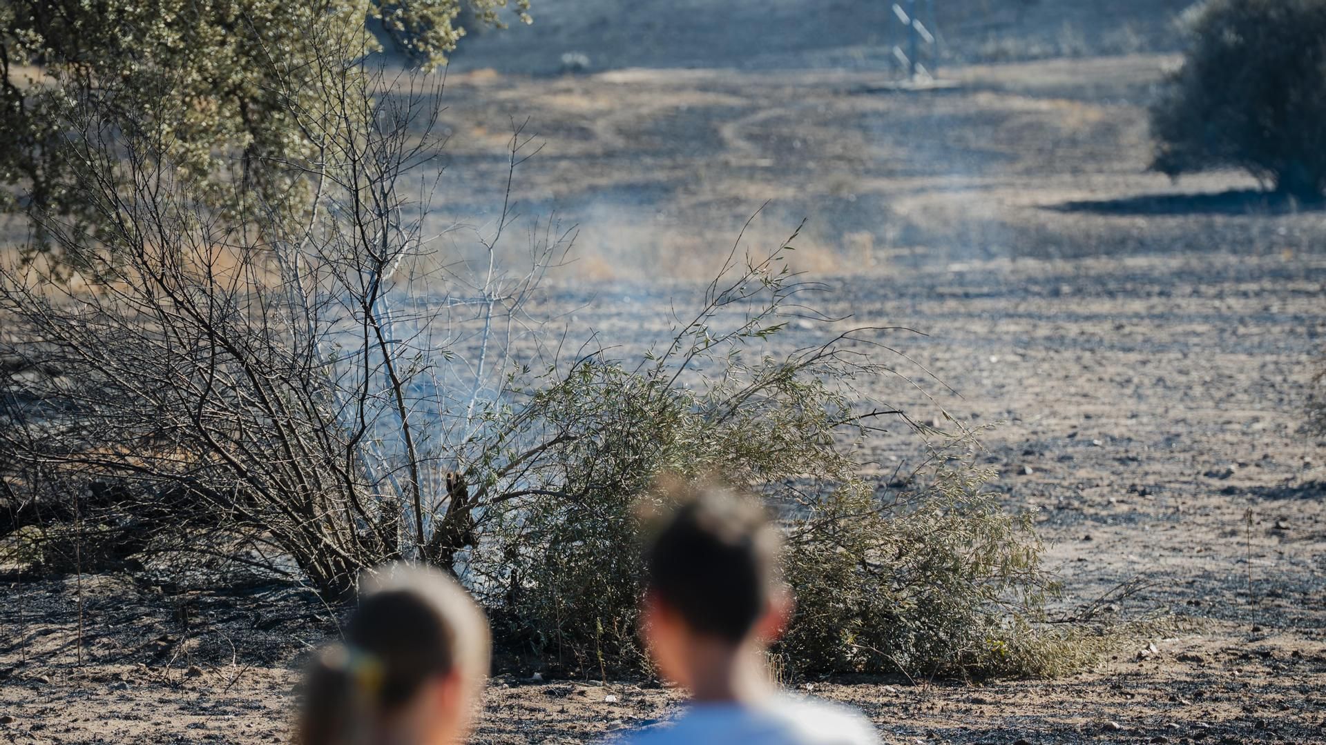El origen del incendio de Méntrida, Toledo: una colilla mal apagada calcinó más de 4.000 hectáreas
