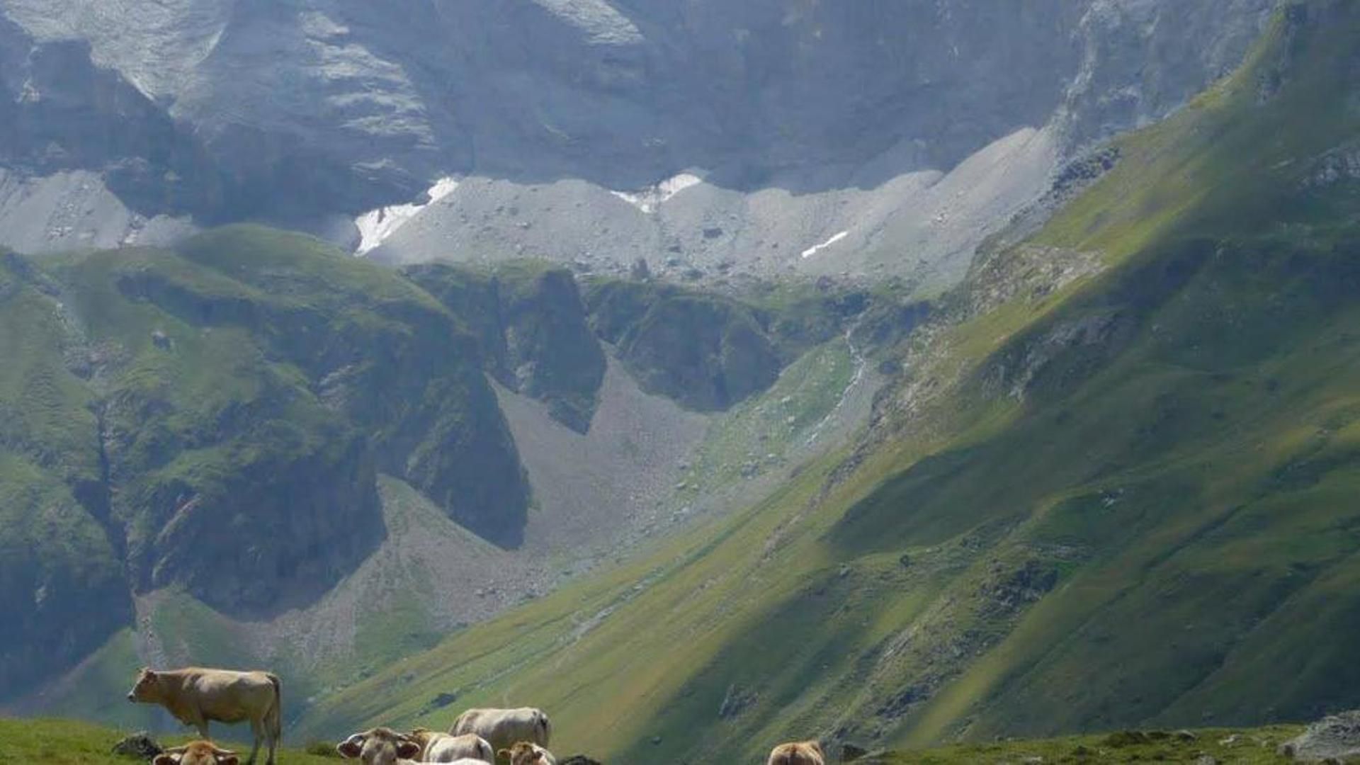 El testimonio del joven francés que corrió durante 45 minutos para socorrer a los españoles alcanzados por un rayo: "Lo di todo"