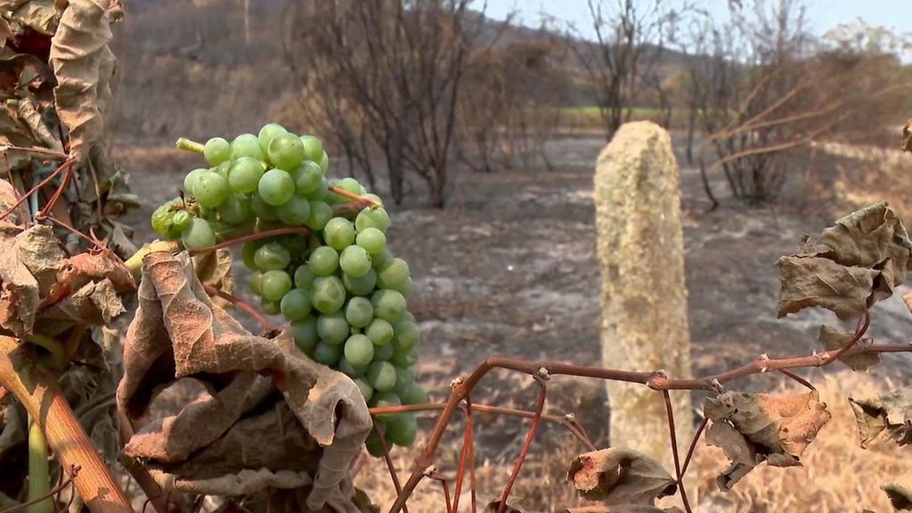 Negocios arrasados por el fuego