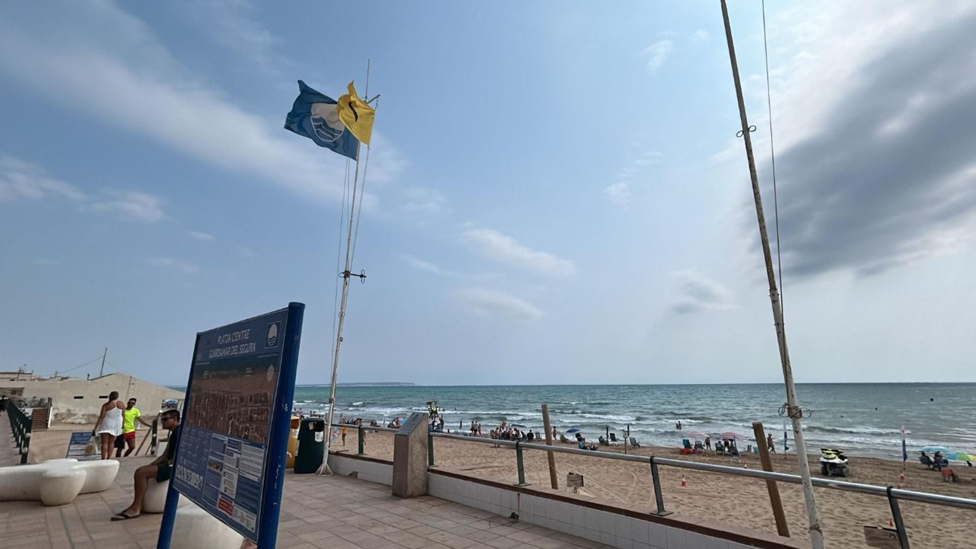 Playa de Guardamar del Segura donde está prohibido el baño por la presencia de dragones azules.