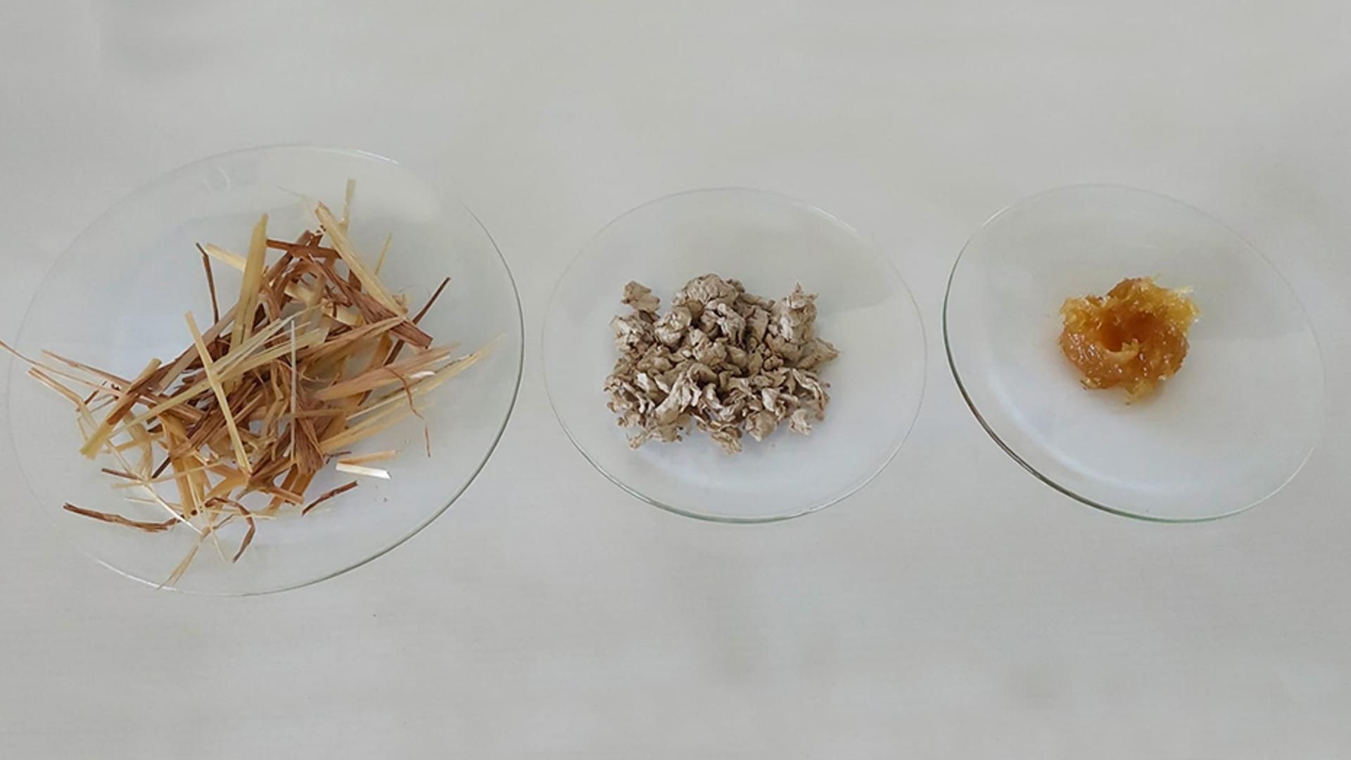 Proceso de transformación de paja en grasa industrial