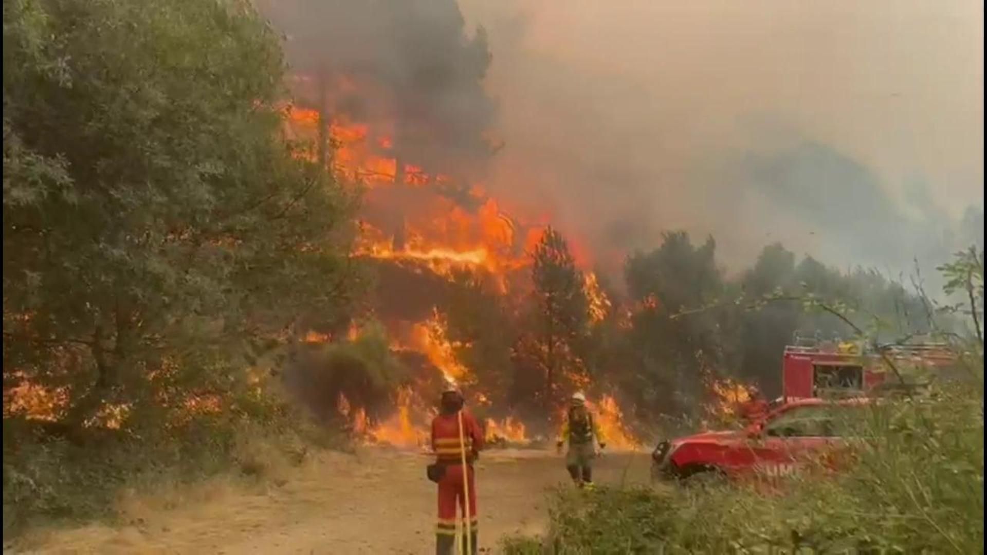 Efectivos de la UME continúan trabajando en el incendio de Jarilla, a pesar de la mejora de la situación