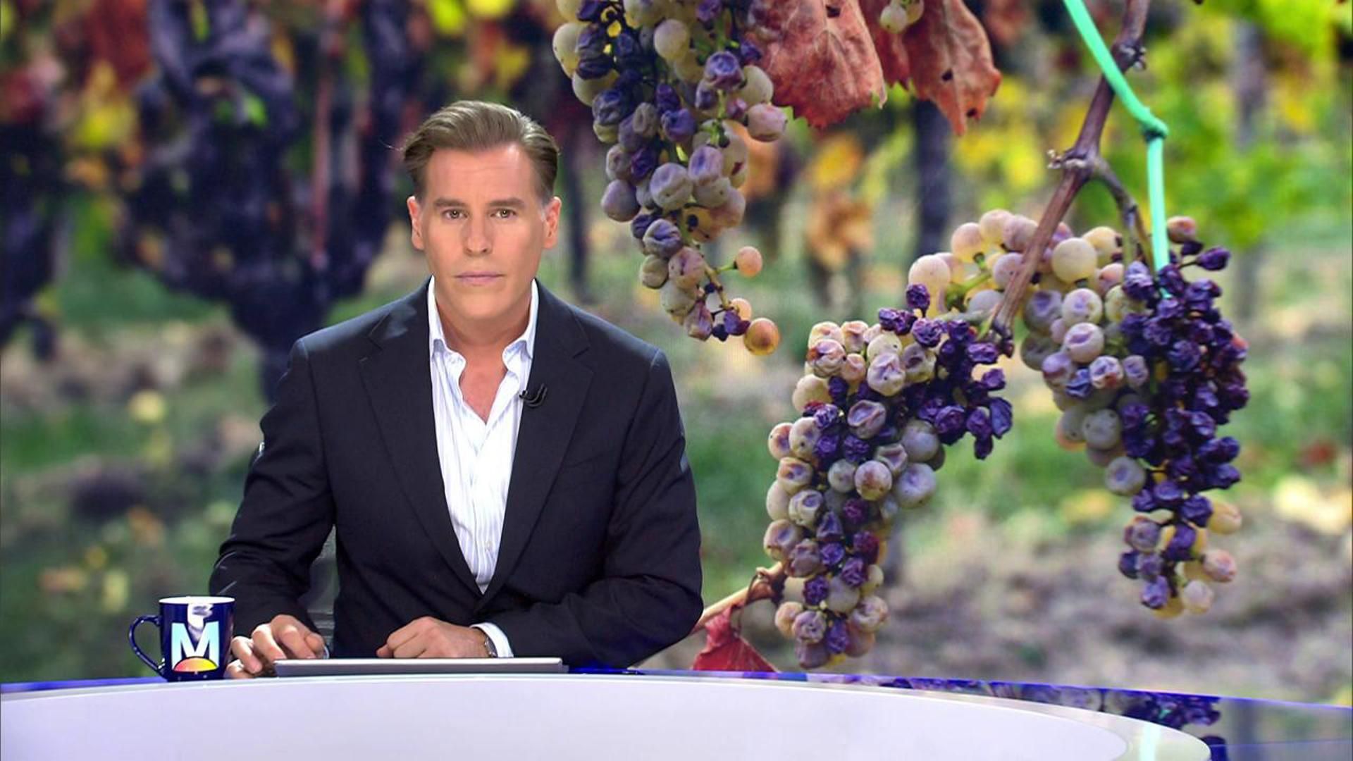 2025 08 22 0640 REC Telecinco REC.ts.0x0.158026032918900