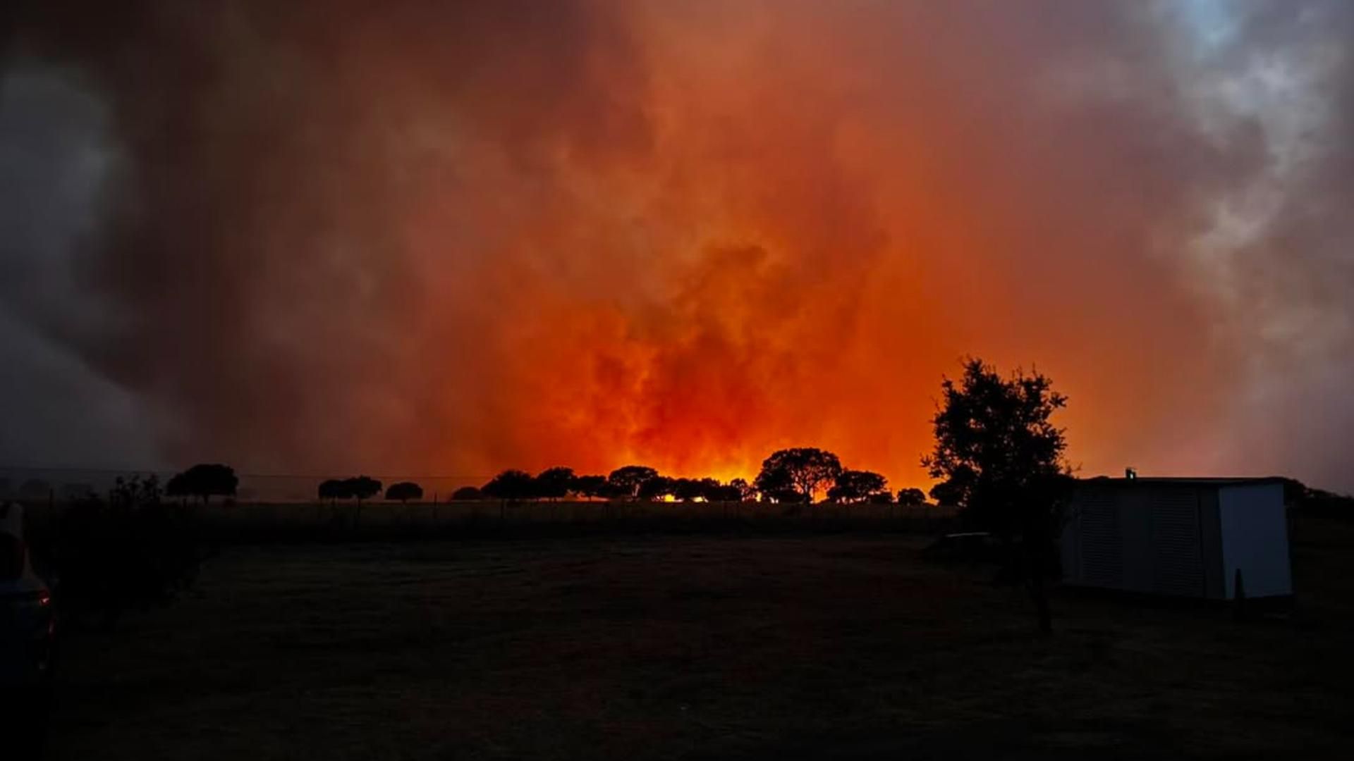 Imagen de los incendios publicada por la Protectora de Cáceres
