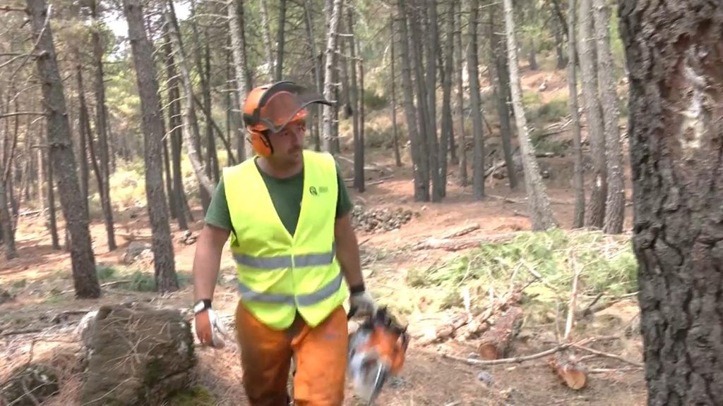 Las empresas madereras sacan pecho de su trabajo de su importancia en la limpieza de los montes