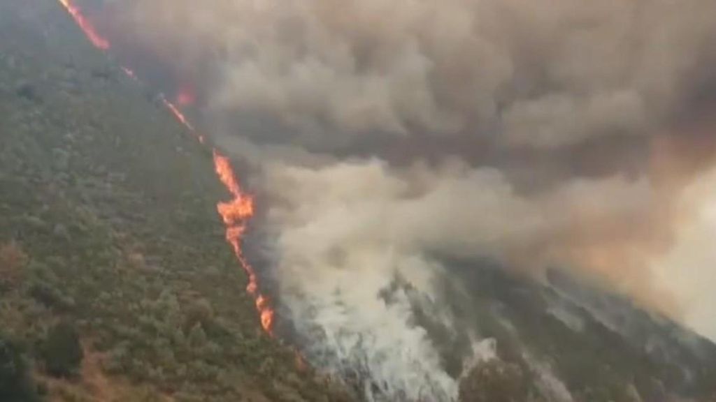 Cómo aprovechar el monte produciría menos incendios, generando beneficios para sus pueblos