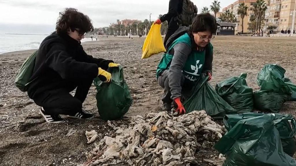 Las toallitas, el enemigo de las depuradoras y del medioambiente
