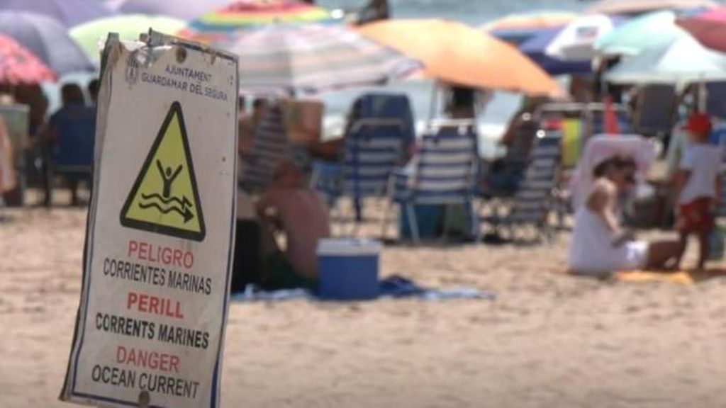Prohíben el baño en las playas de Guardamar del Segura al detectar cinco ejemplares más de dragón azul