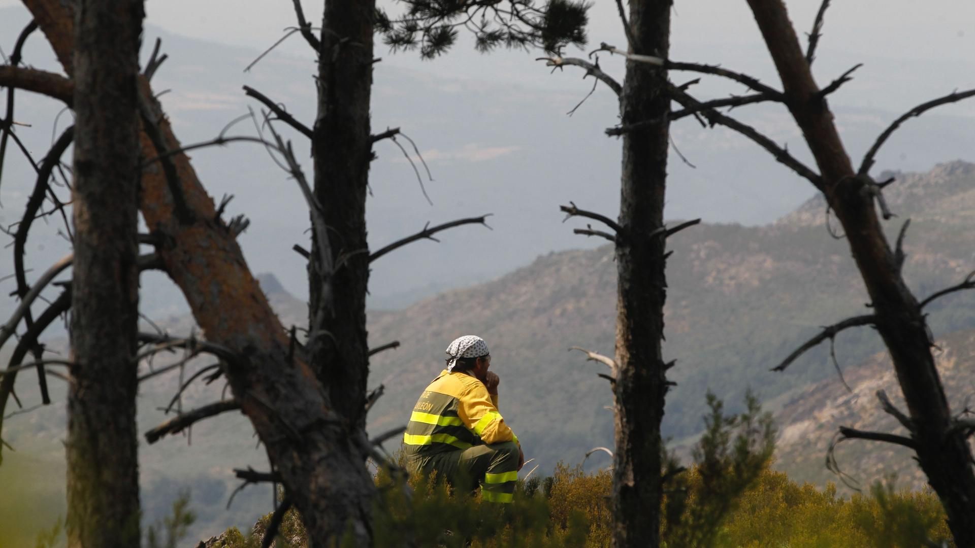 Un brigadista observa la evolución del incendio de Ourense a punto de llegar a Castromil (Zamora).