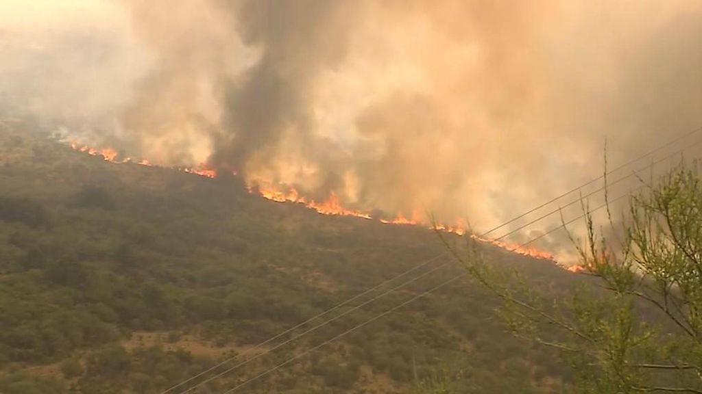 La pesadilla continúa: once fuegos graves se mantienen activos entre León, Zamora y Palencia