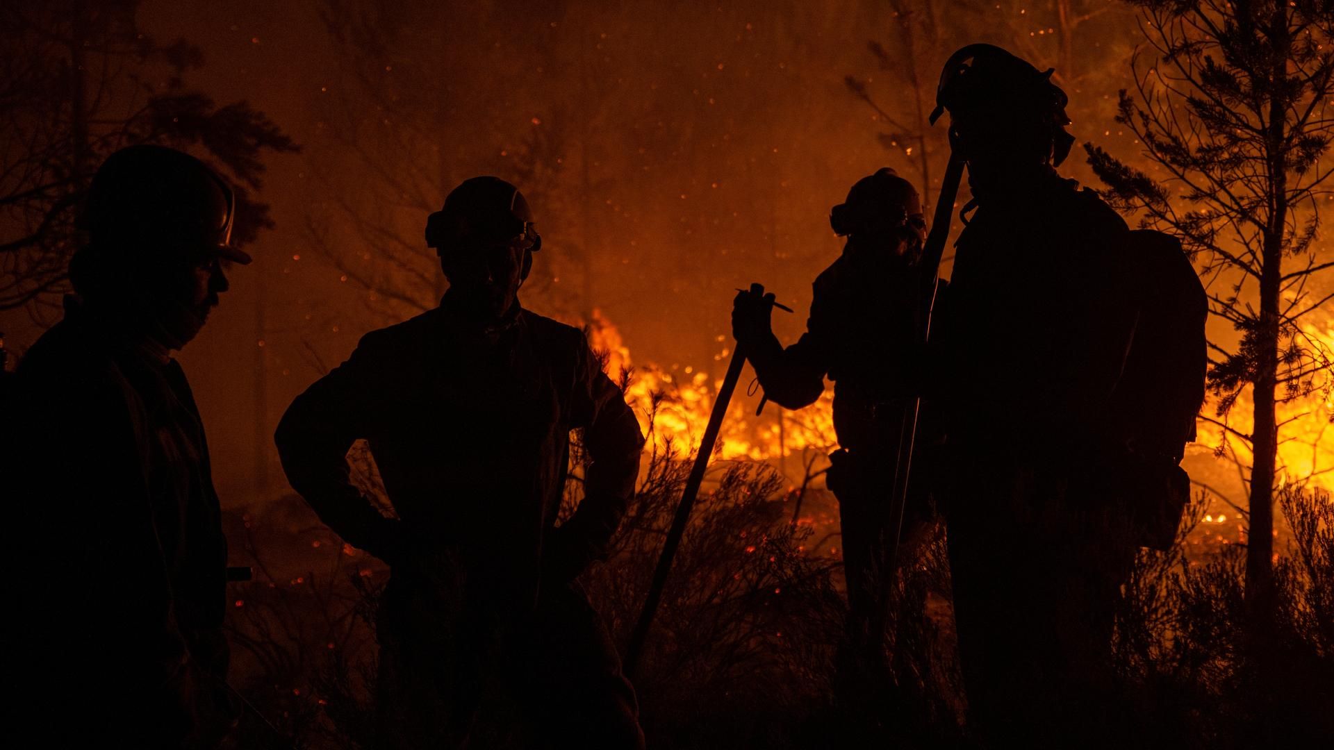 Un grupo de bomberos forestales tratan de extinguir el fuego en Argayo