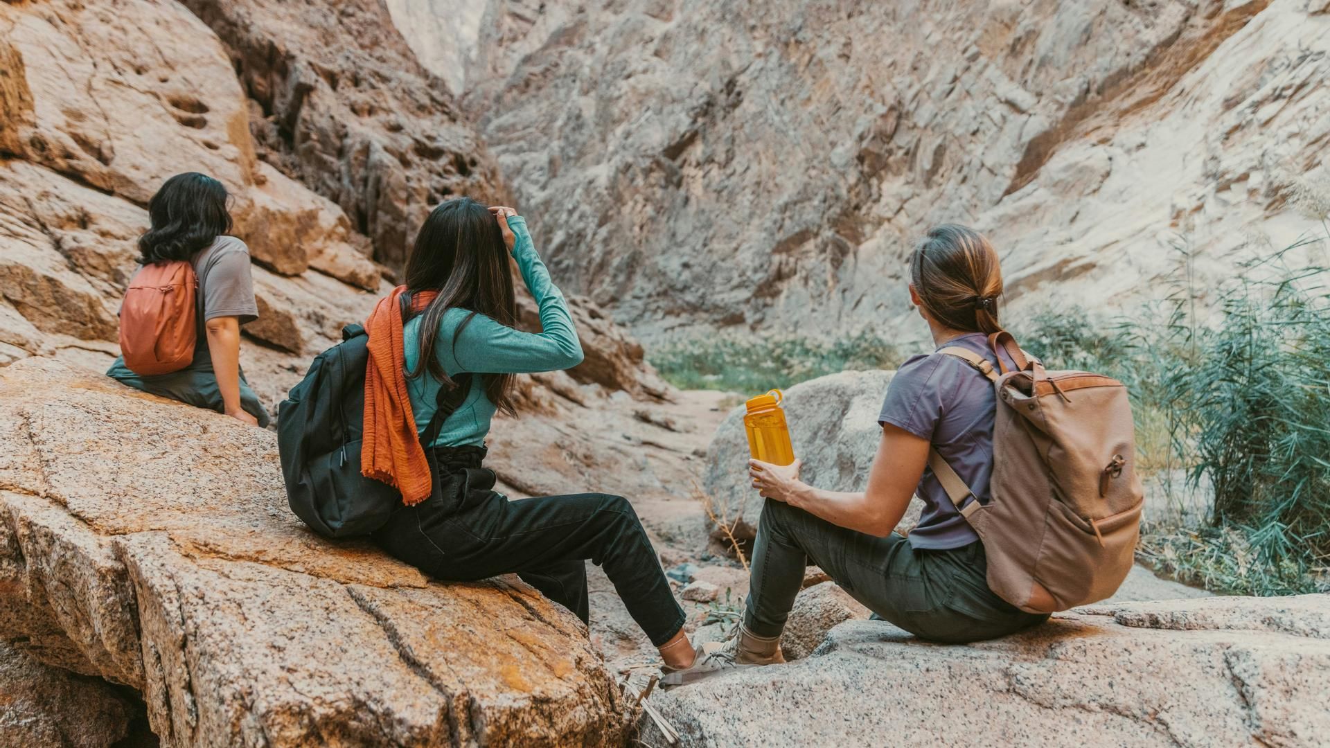 viajar grupo neom unsplash