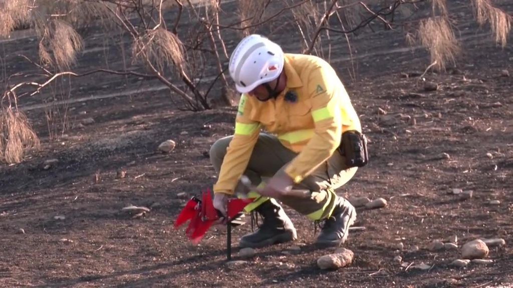 Así se investiga cómo se inicia un incendio y cómo se propaga como el de la Sierra de Alhama, Granada
