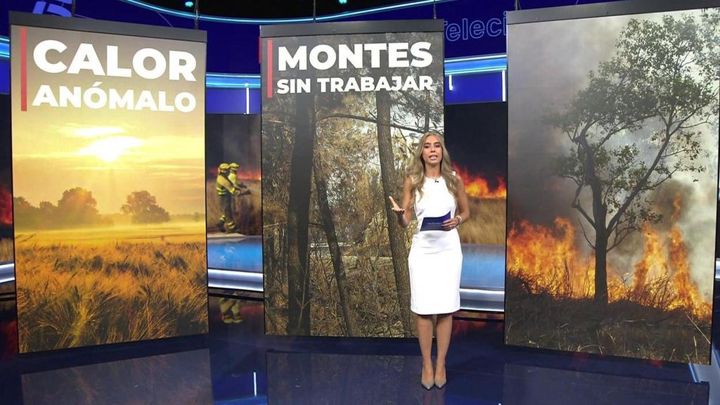 Las claves de los incendios en 2025: la peor ola de calor, montes sin desbrozar y comportamientos irresponsables