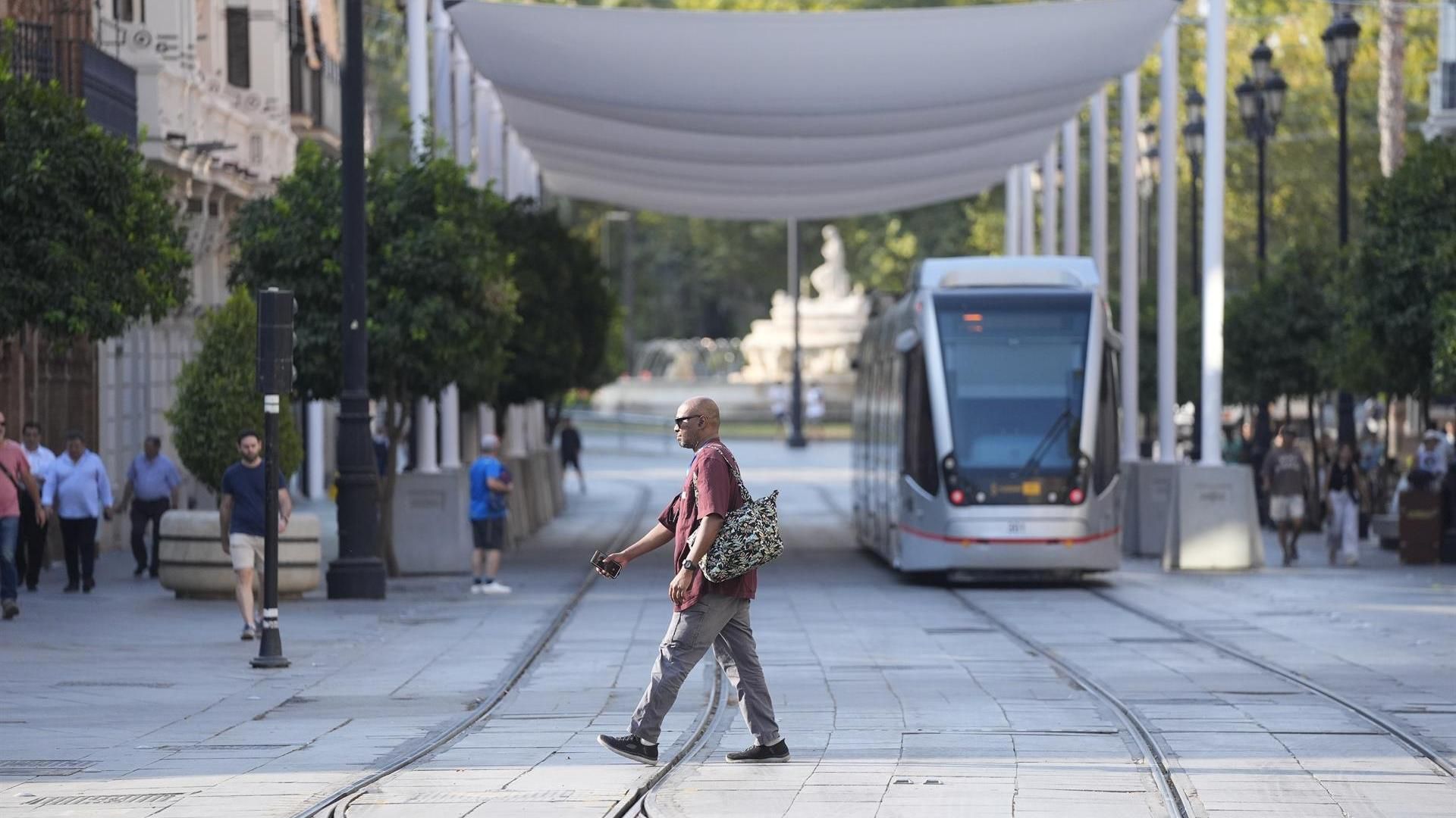 Nuevos toldos en la Avenida de la Constitución de Sevilla