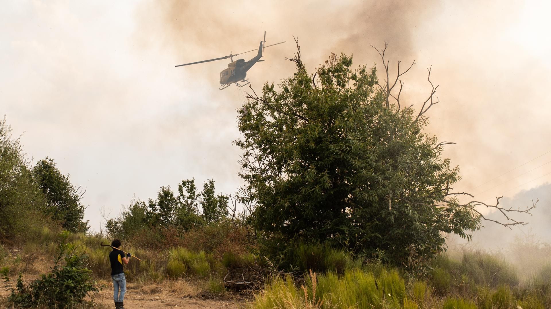 Tareas de extinción en el incendio de León