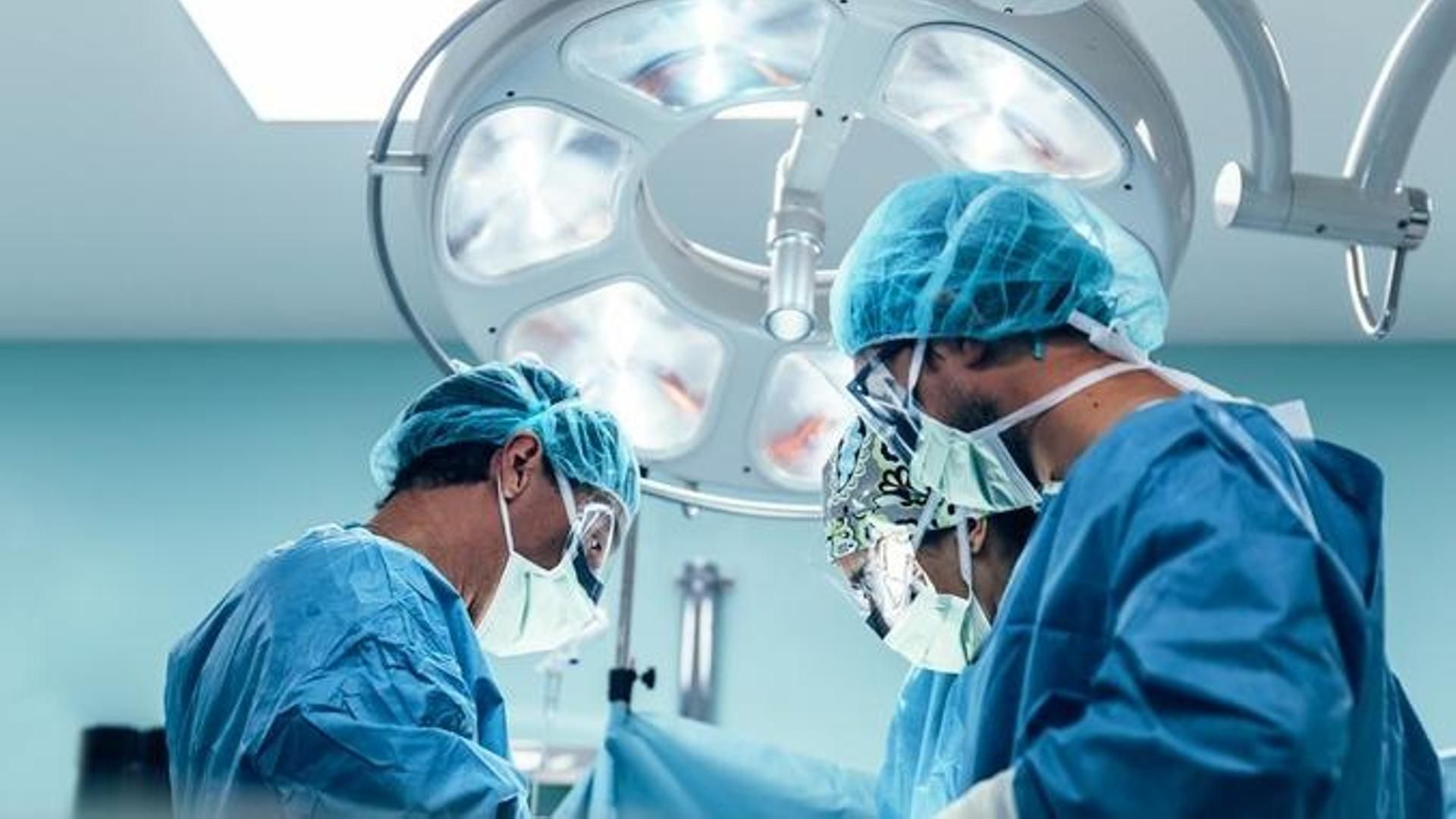 Un grupo de investigadores consiguen trasplantar el pulmón de un cerdo a un humano: hasta seis modificaciones genéticas