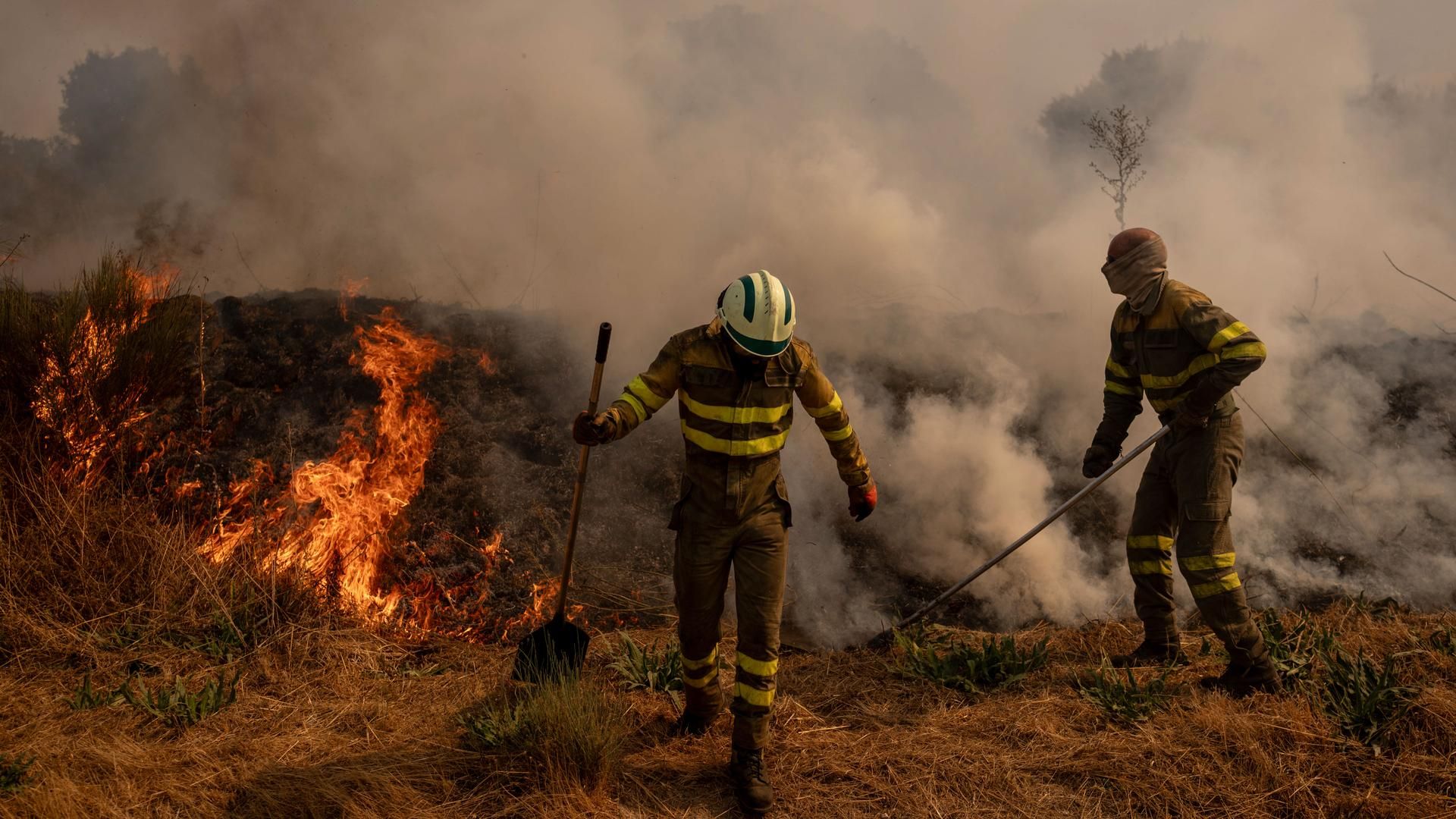 El incendio de Oímbra lleva devoradas 12.000 hectáreas de acuerdo con cifras de la Xunta