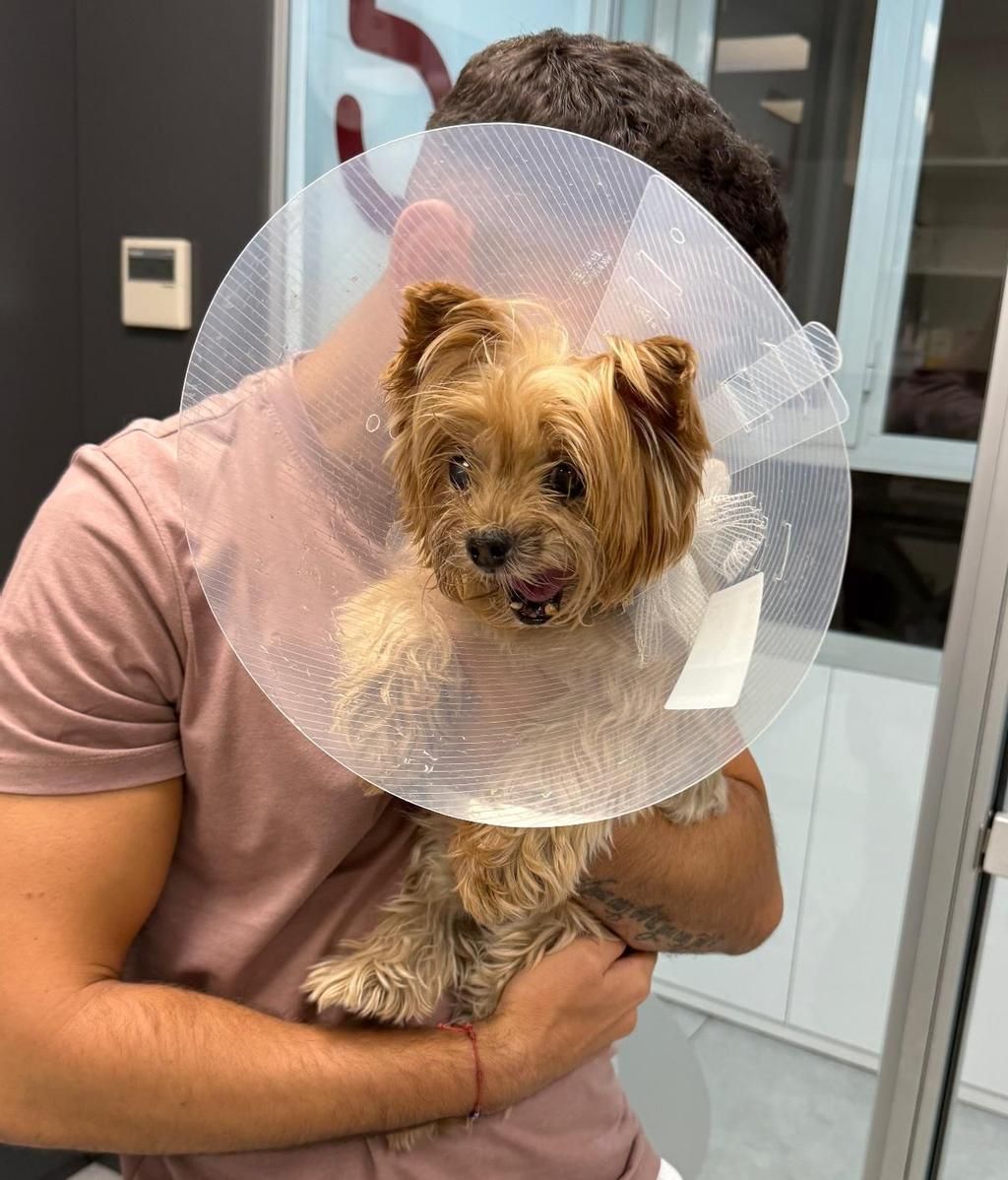 Frigente, con Nina en urgencias