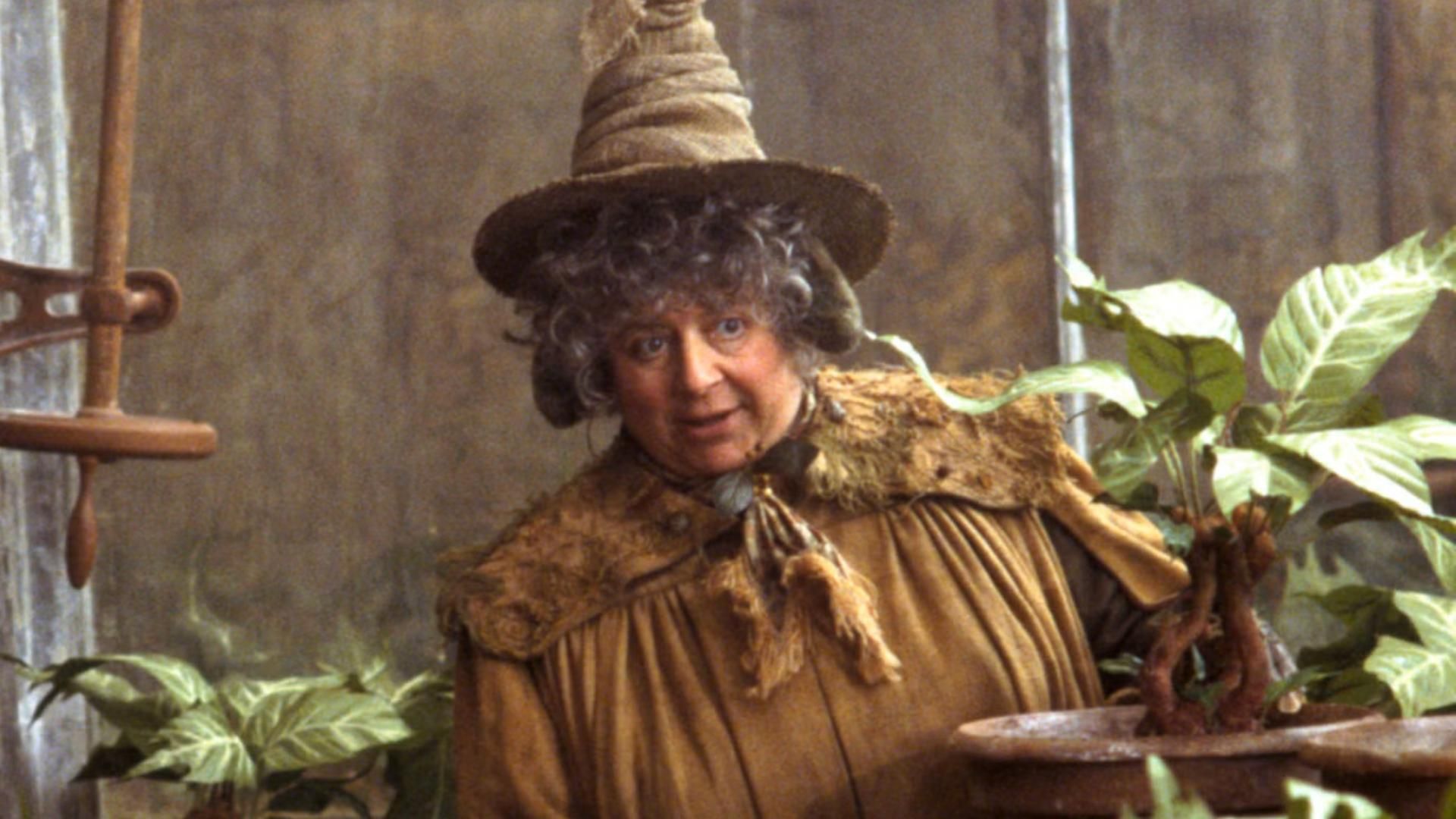 La actriz Miriam Margolyes