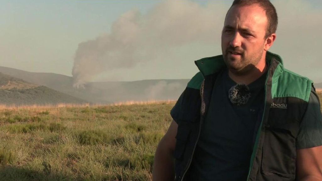 Pérdidas millonarias en el campo por los incendios