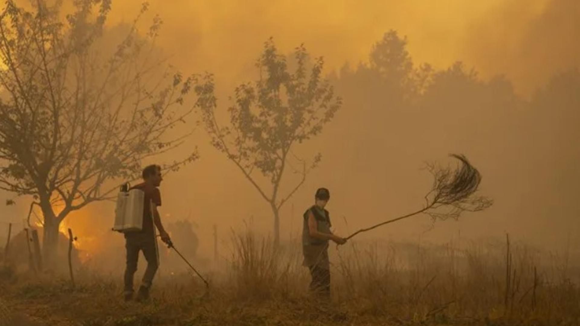 Vecinos luchando contra el fuego en Carballeda de Avia (Ourense). EFE