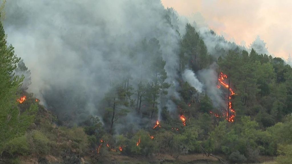 Galicia mantiene cuatro incendios activos en Ourense y Lugo a la espera de la bajada de temperaturas y las lluvias