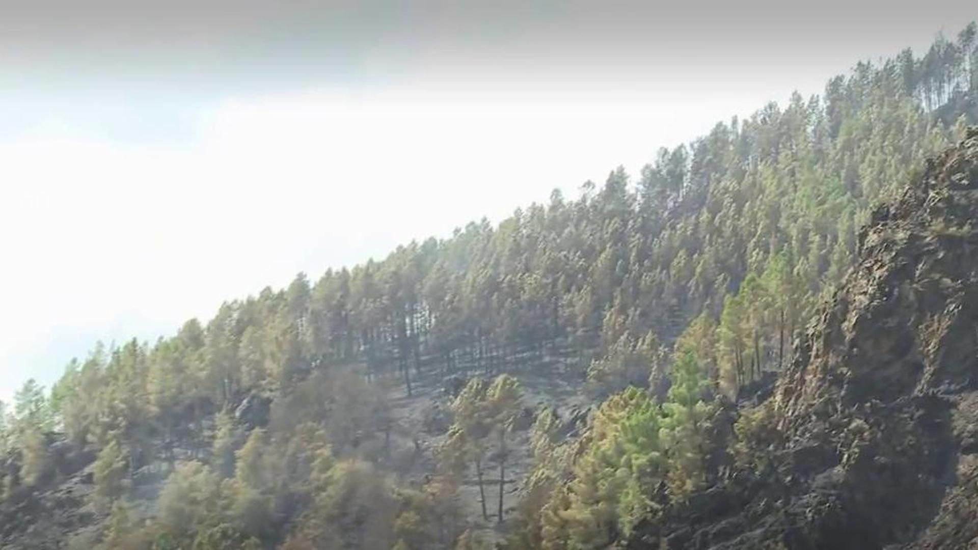 Incendio en Quiroga, Lugo