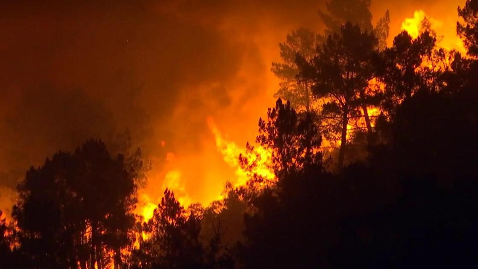 Incendio en Quiroga, Lugo